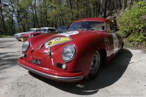 IMG_7515-CI-web.jpg